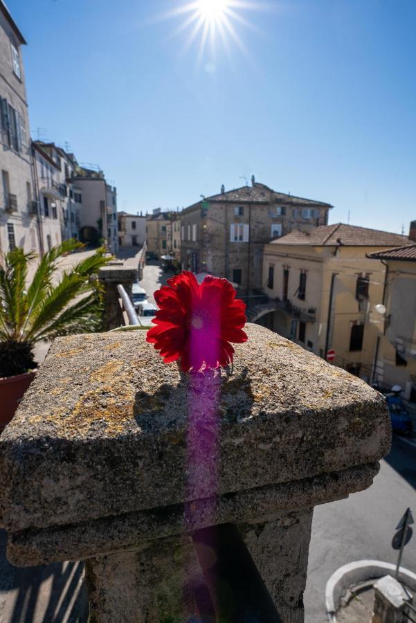 Monolocale tipico toscano vicino terme di Saturnia, la Casa All'Archetto Manciano Esterno foto